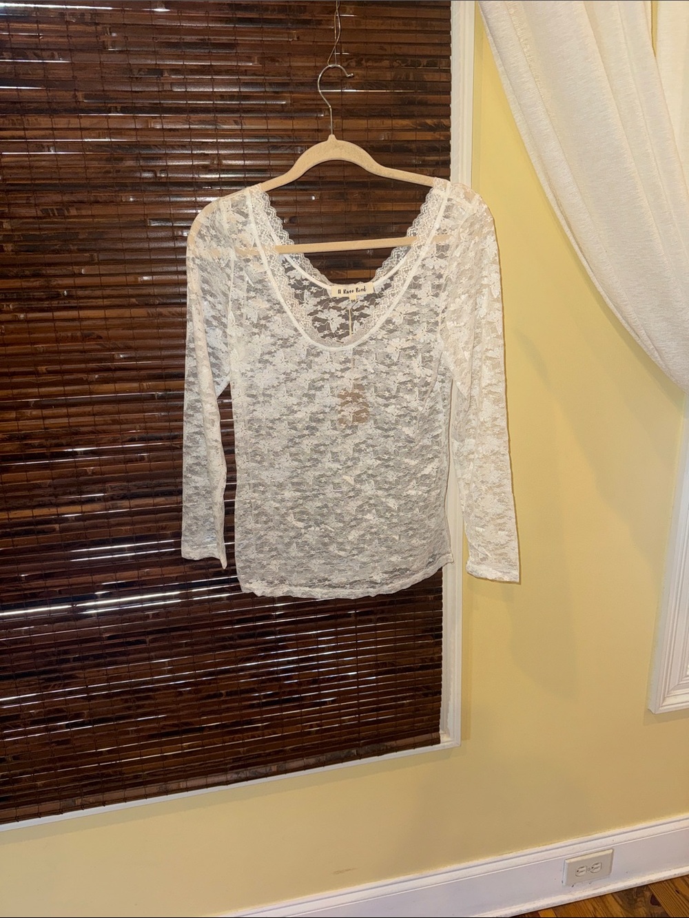 Sheer White Lace Long-Sleeve Scoop Neck Top by A Rare Bird